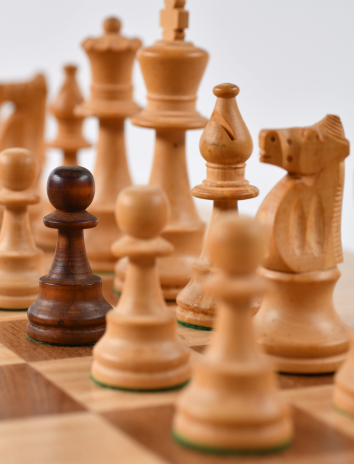 Игры в шахматы и шашки